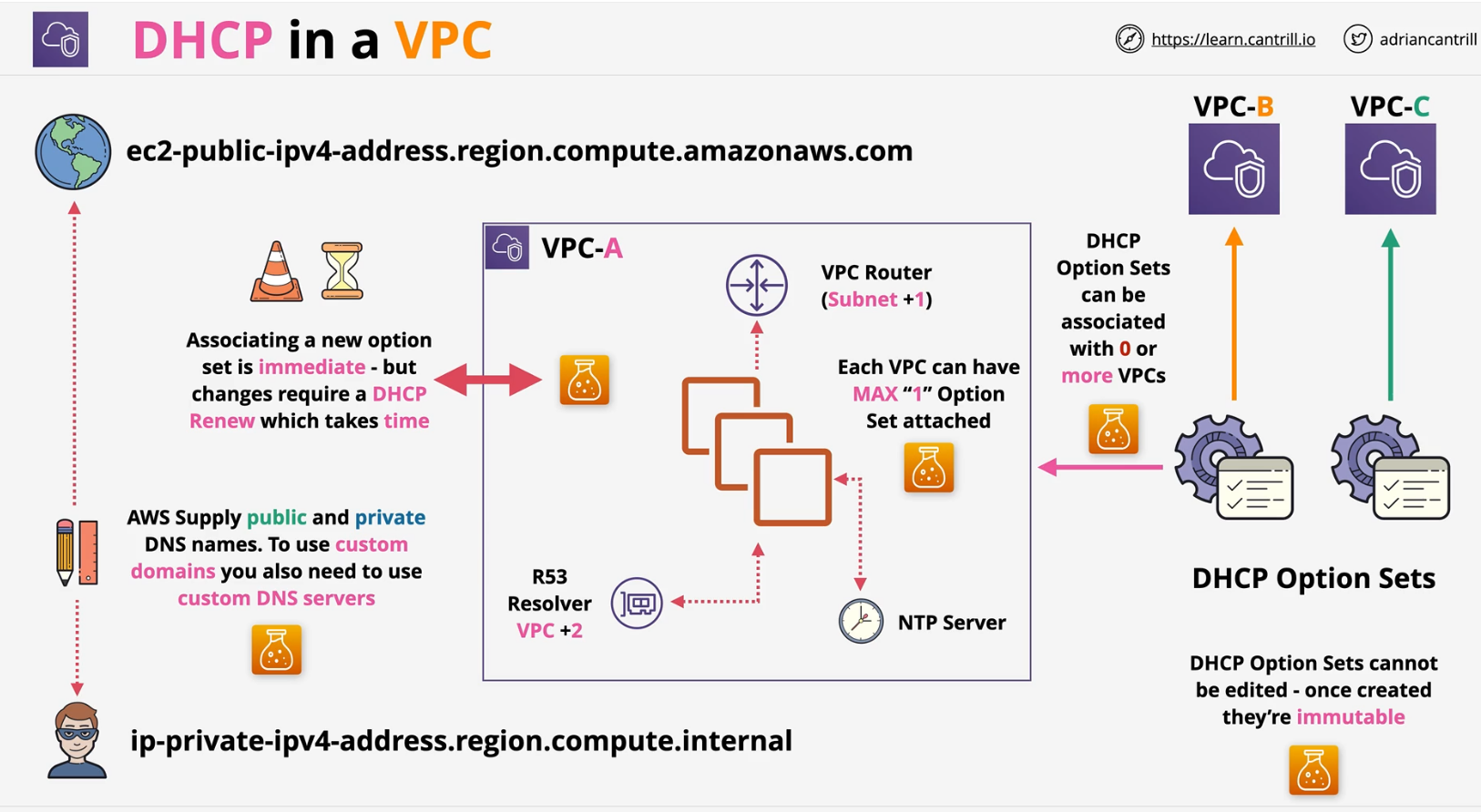 dncp-in-vpc