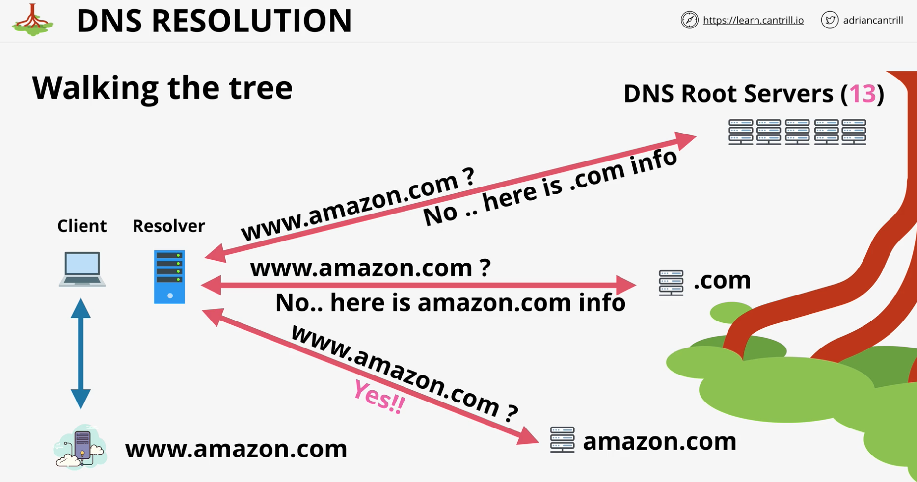 dns-resolution